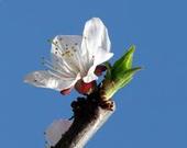 白癜风治疗的较好方法