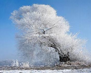 冬季是治疗白癜风的好季节吗
