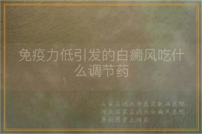 免疫力低引发的白癜风吃什么调节药